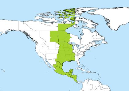 1030 ist to cst|IST to CST Central America .